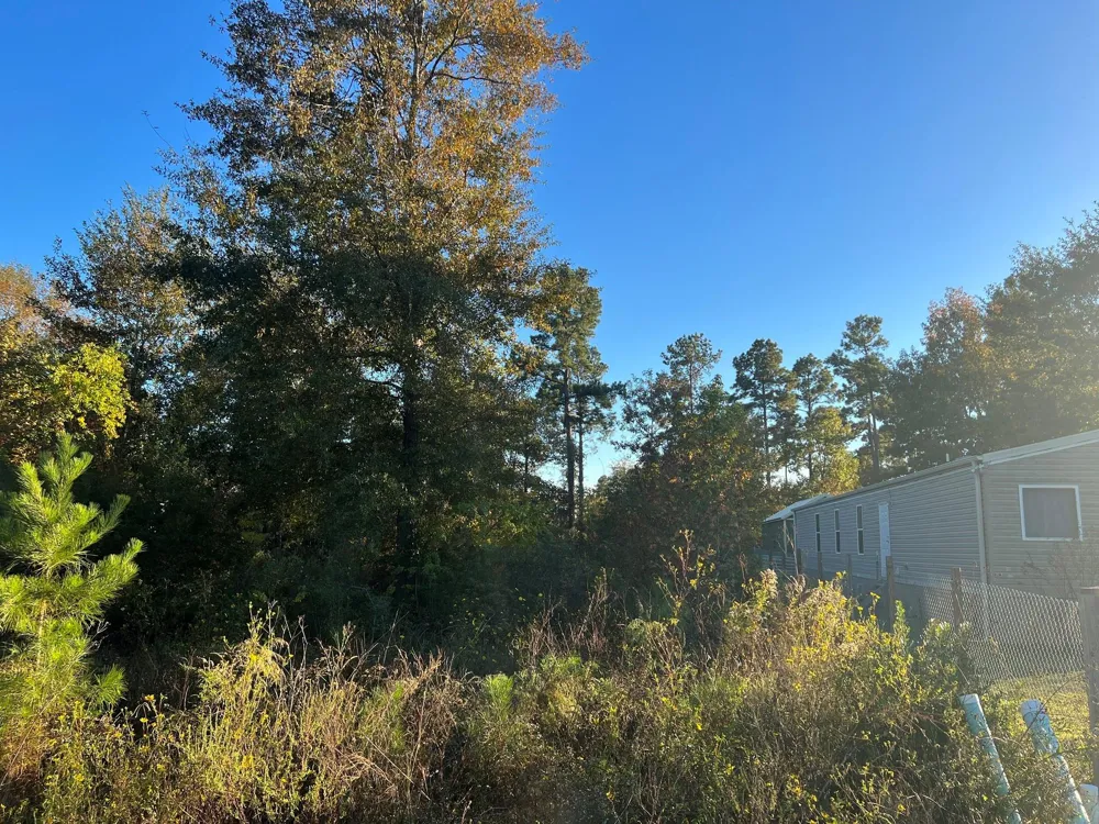146 County Road 3479a Cleveland, TX 77327