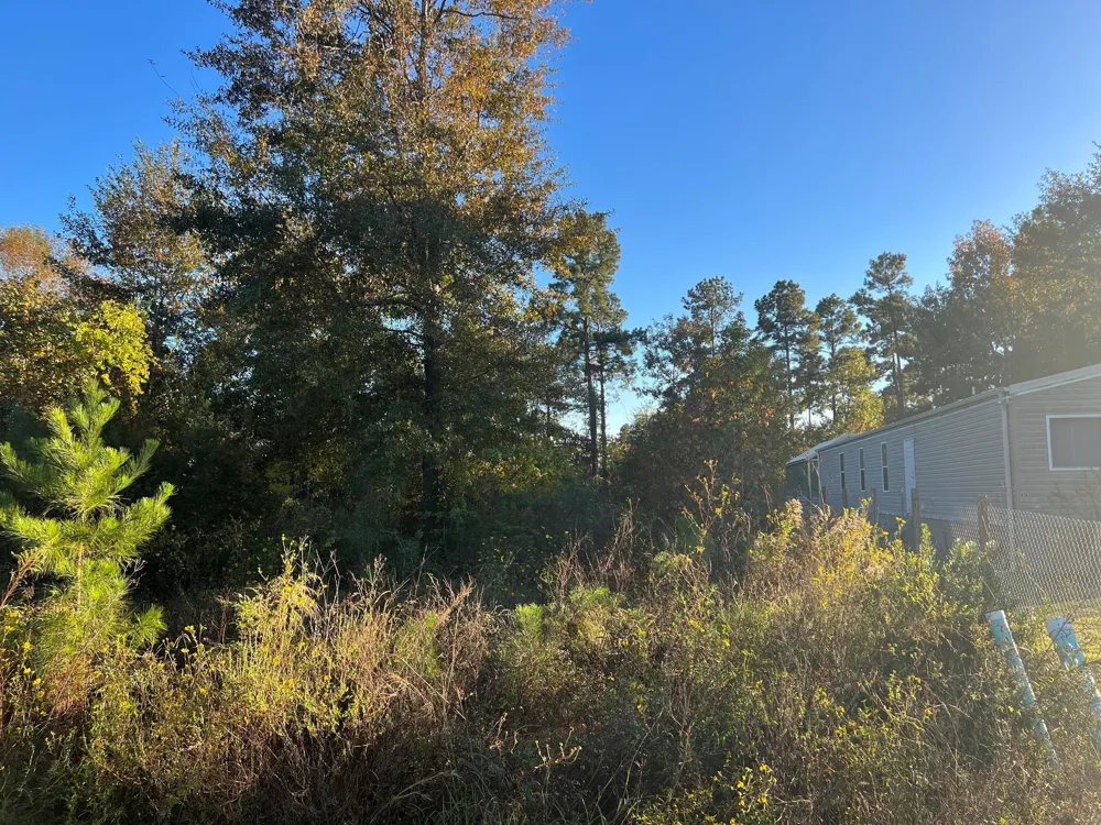 146 County Road 3479a Cleveland, TX 77327