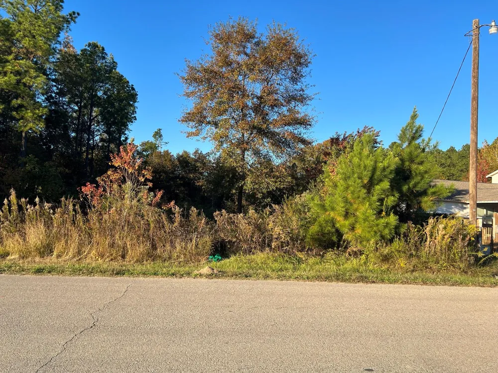 145 County Road 3479a Cleveland, TX 77327