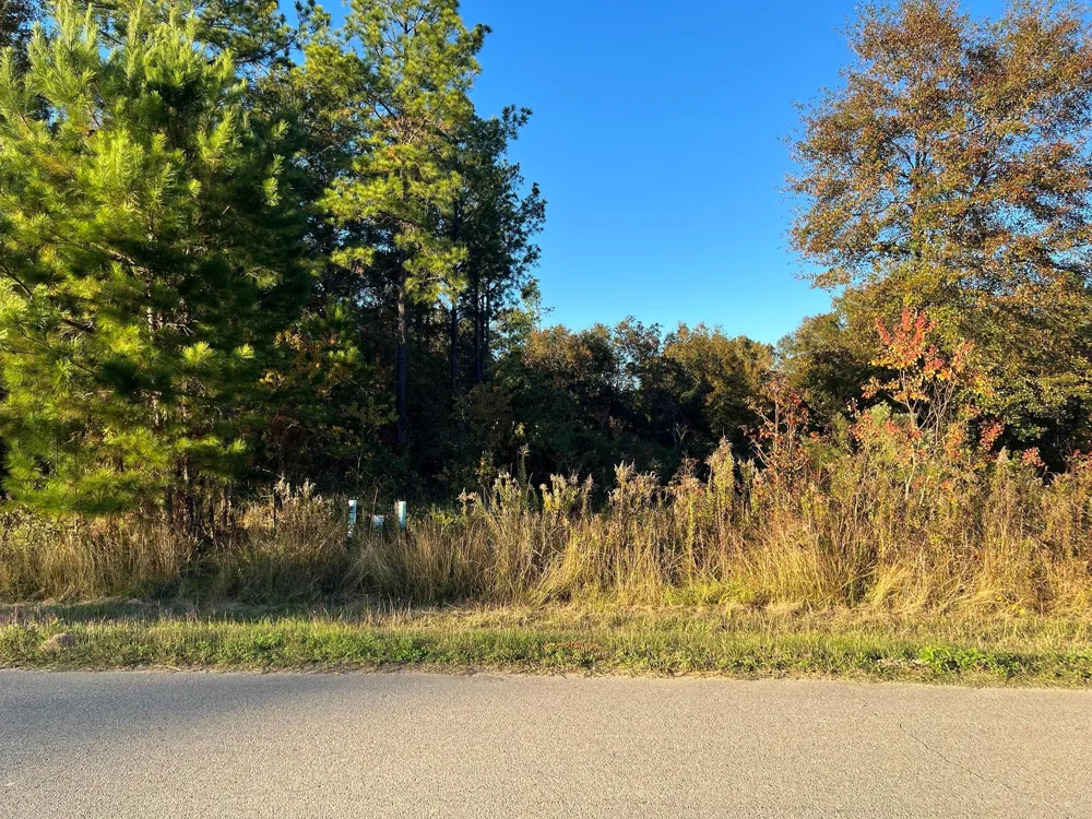 145 County Road 3479a Cleveland, TX 77327