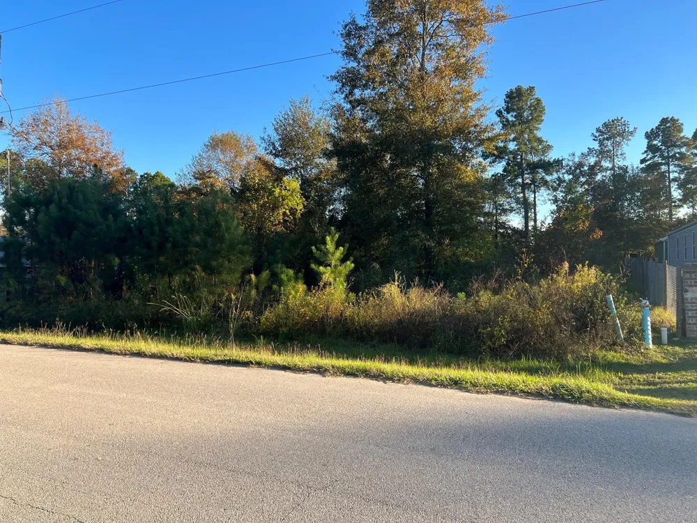 145 County Road 3479a Cleveland, TX 77327