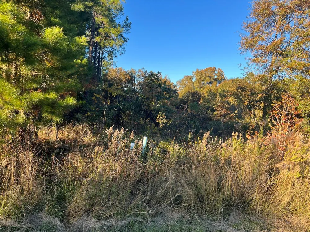 145 County Road 3479a Cleveland, TX 77327