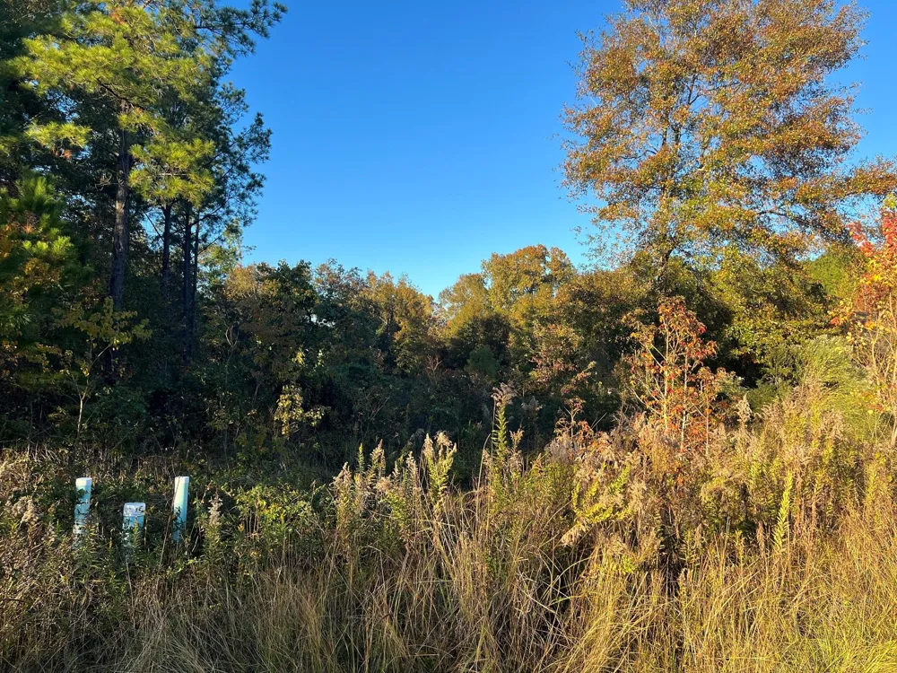 145 County Road 3479a Cleveland, TX 77327