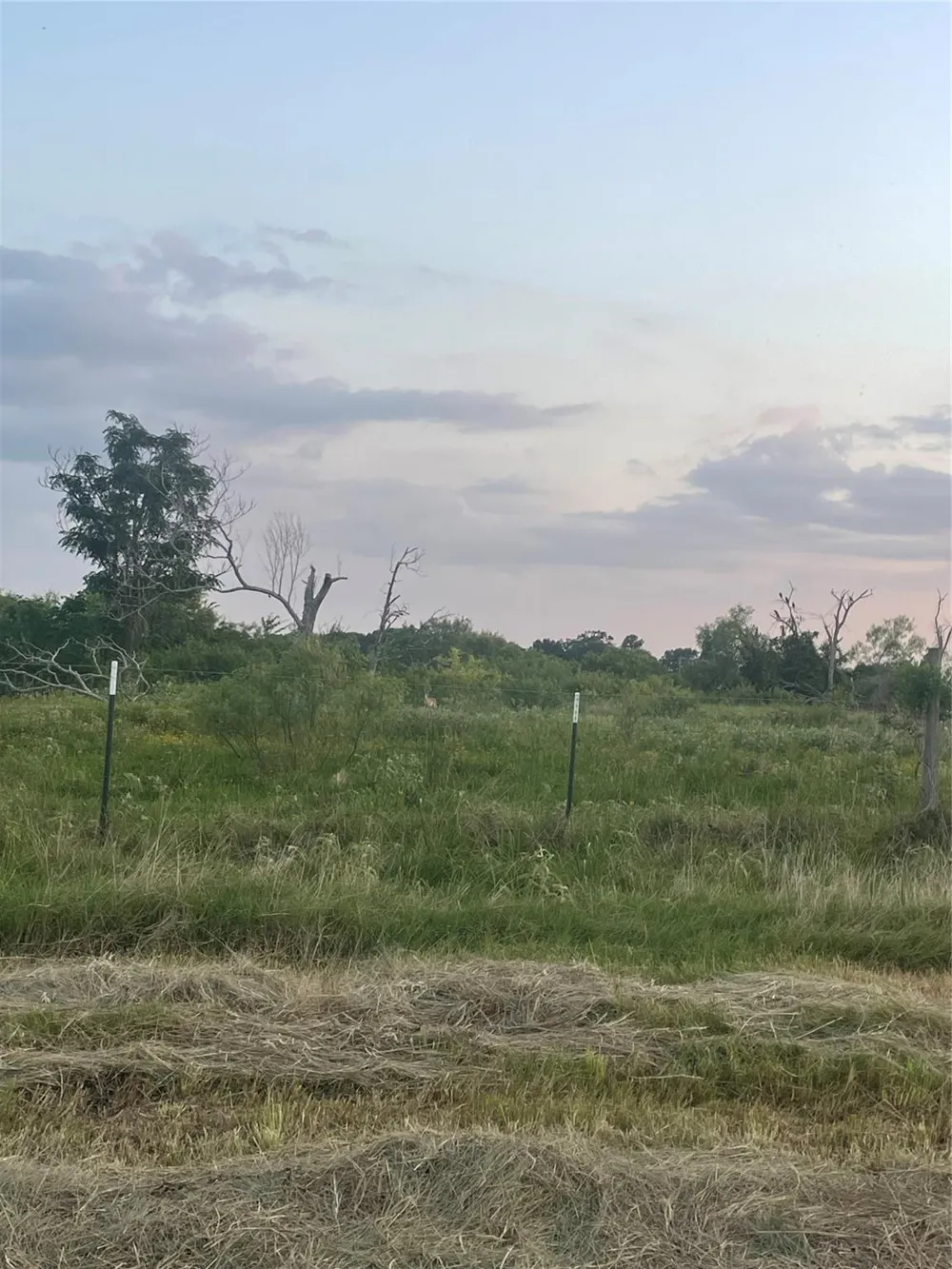 51359 Highway 290 Highway Hempstead, TX 77445