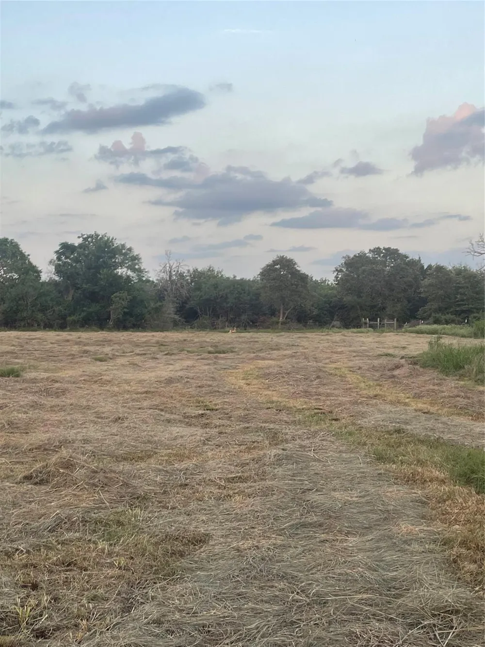 51359 Highway 290 Highway Hempstead, TX 77445