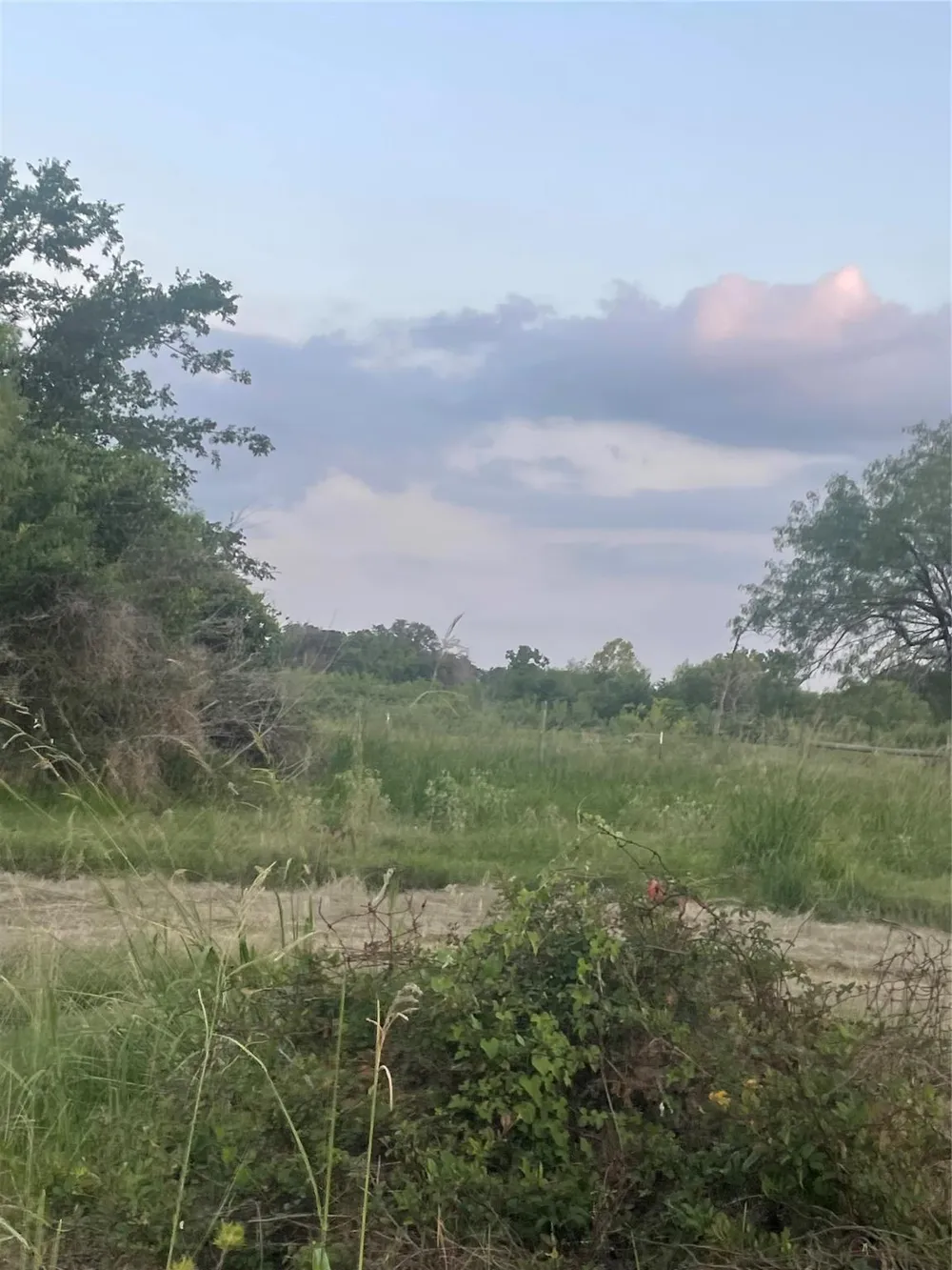 51359 Highway 290 Highway Hempstead, TX 77445