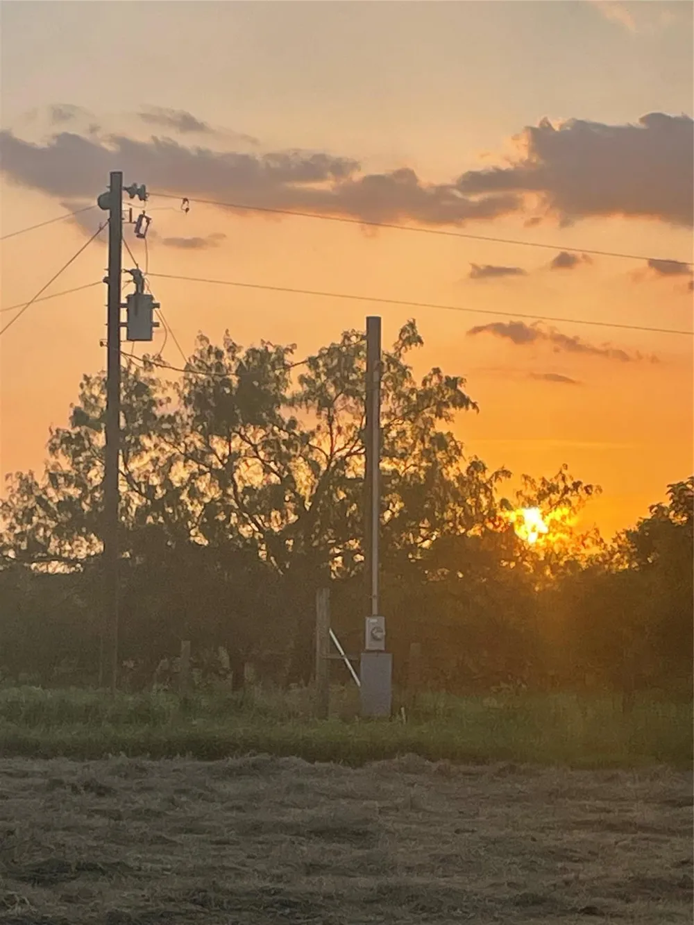 51359 Highway 290 Highway Hempstead, TX 77445