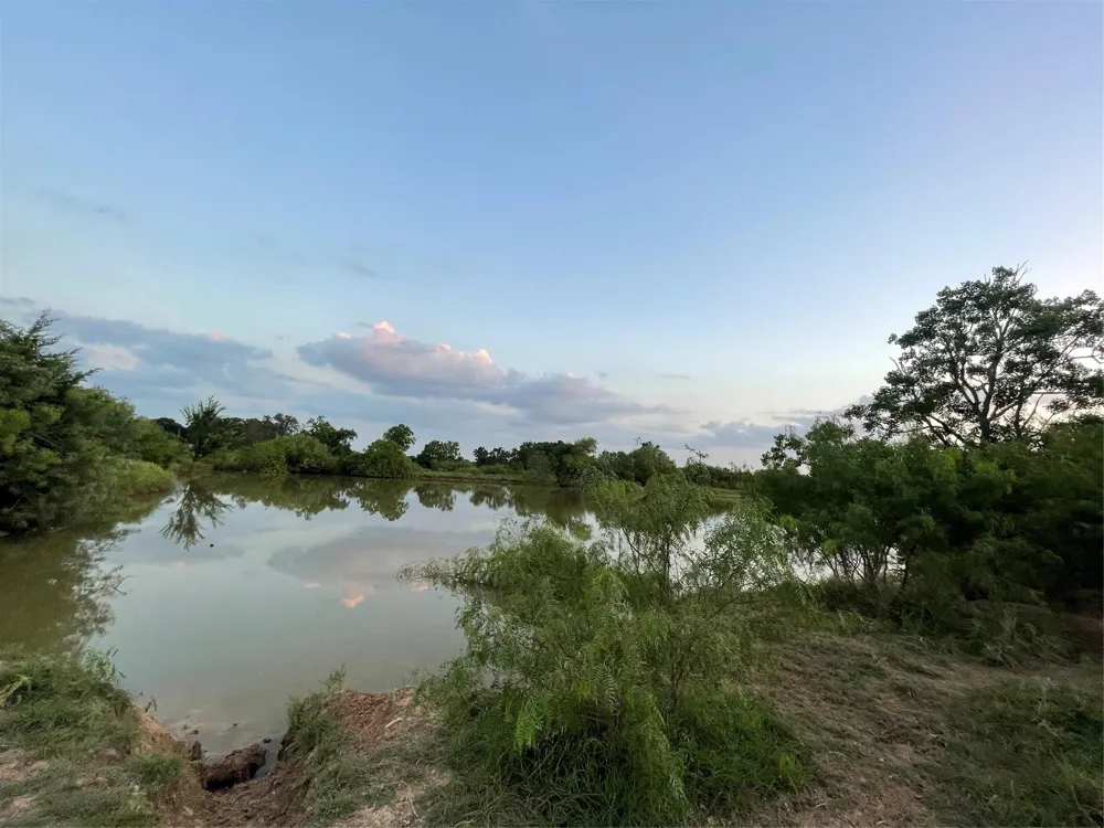 51359 Highway 290 Highway Hempstead, TX 77445