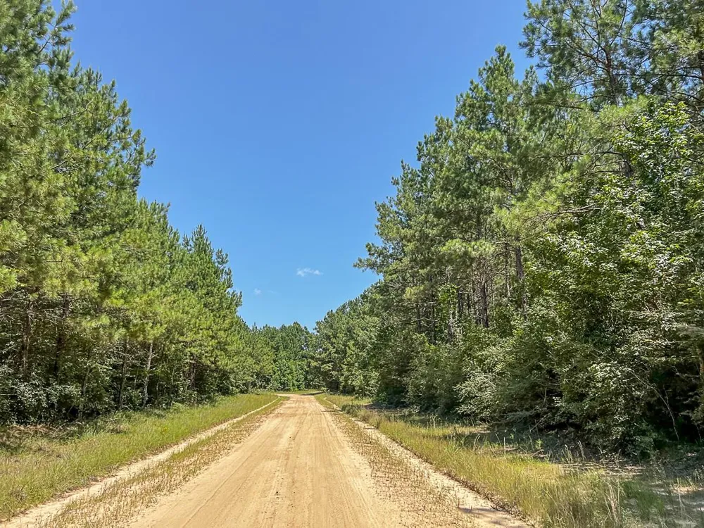 Cr 367 Zavalla, TX 75980