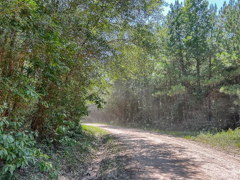Cr 367 Zavalla, TX 75980