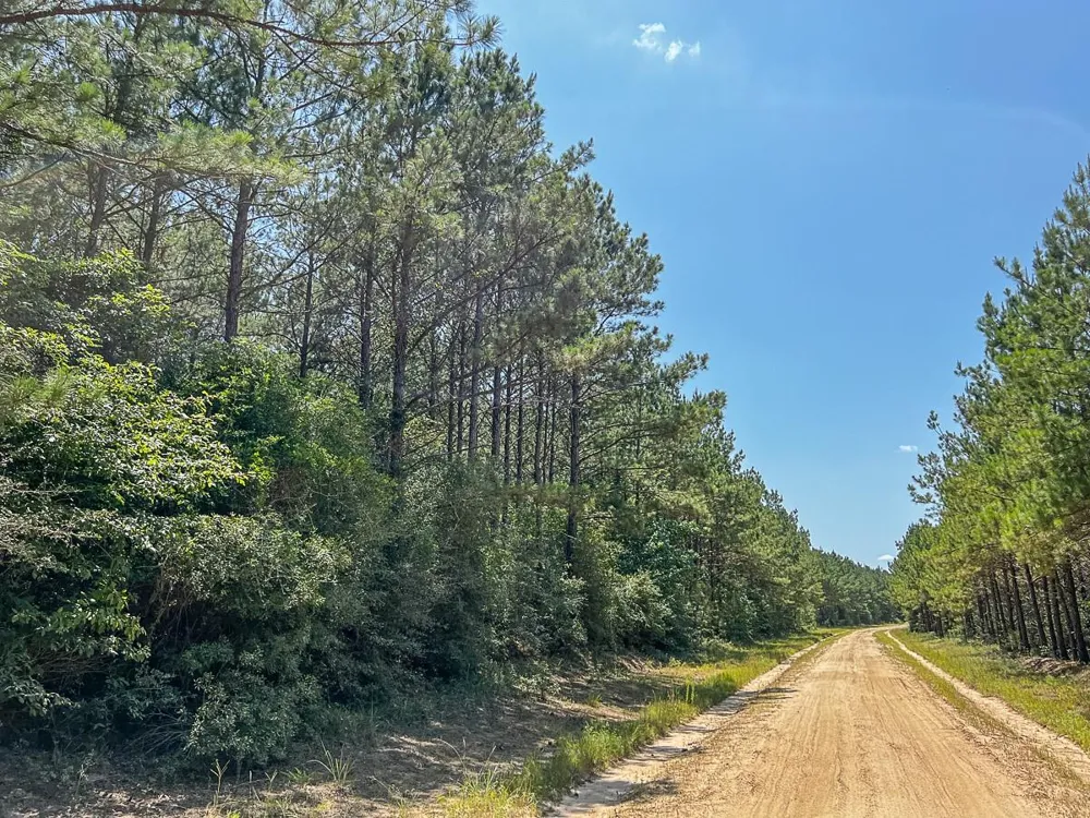 Cr 367 Zavalla, TX 75980