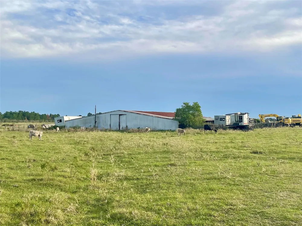 Binford Road Waller, TX 77484