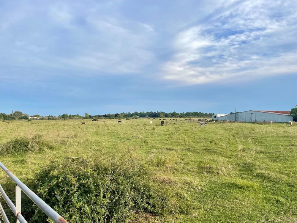 Binford Road Waller, TX 77484