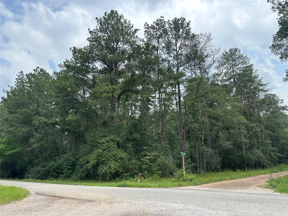 19 Appian Way Roman Forest, TX 77357