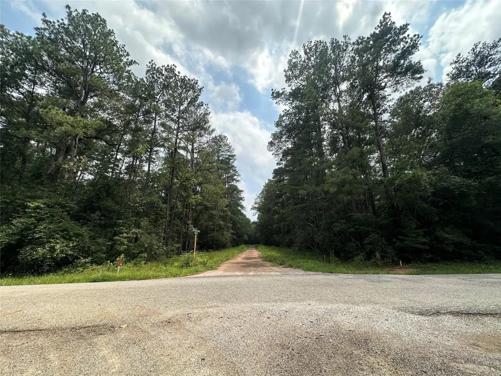 19 Appian Way Roman Forest, TX 77357