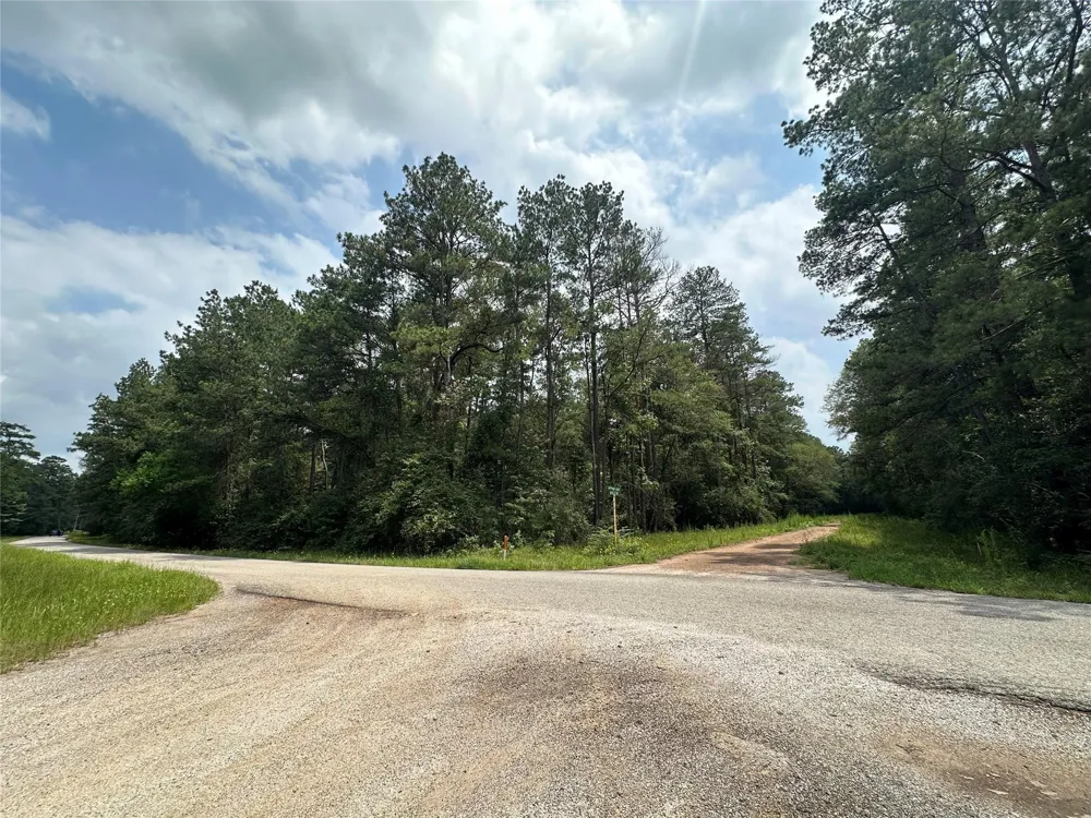 19 Appian Way Roman Forest, TX 77357