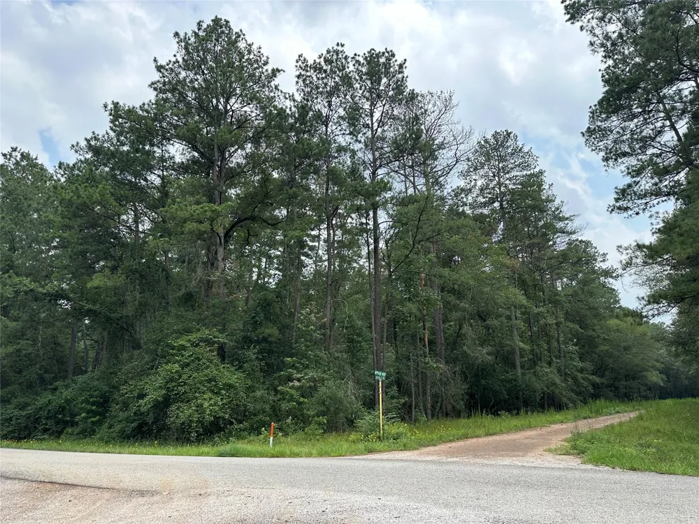 19 Appian Way Roman Forest, TX 77357