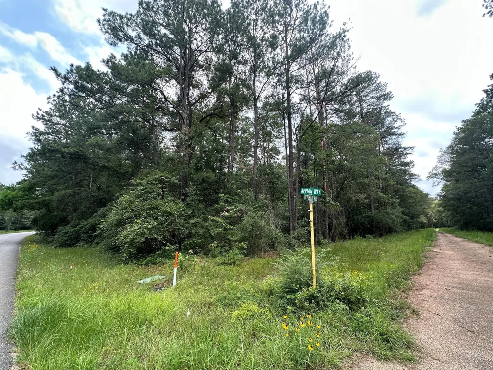 19 Appian Way Roman Forest, TX 77357