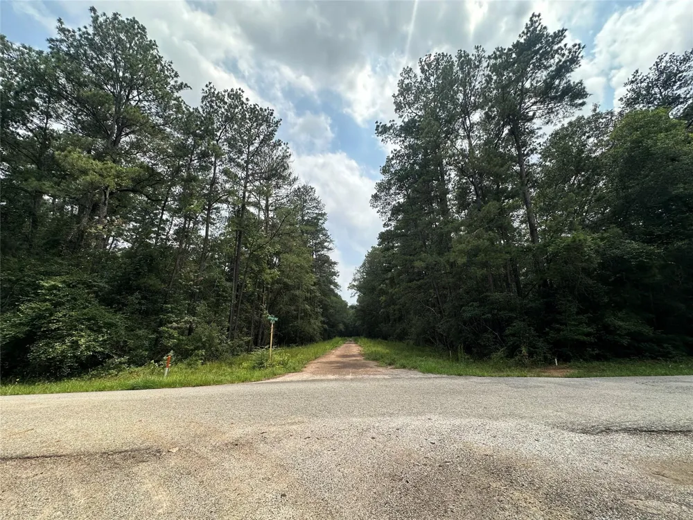 19 Appian Way Roman Forest, TX 77357