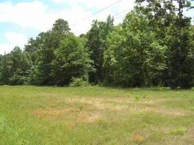 Fm 3126 And Hwy 190 W Livingston, TX 77351