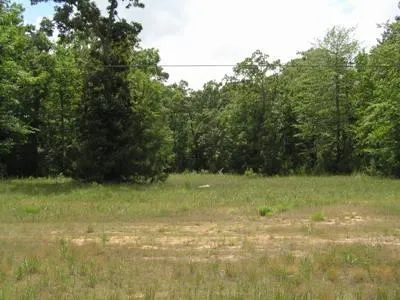 Fm 3126 And Hwy 190 W Livingston, TX 77351