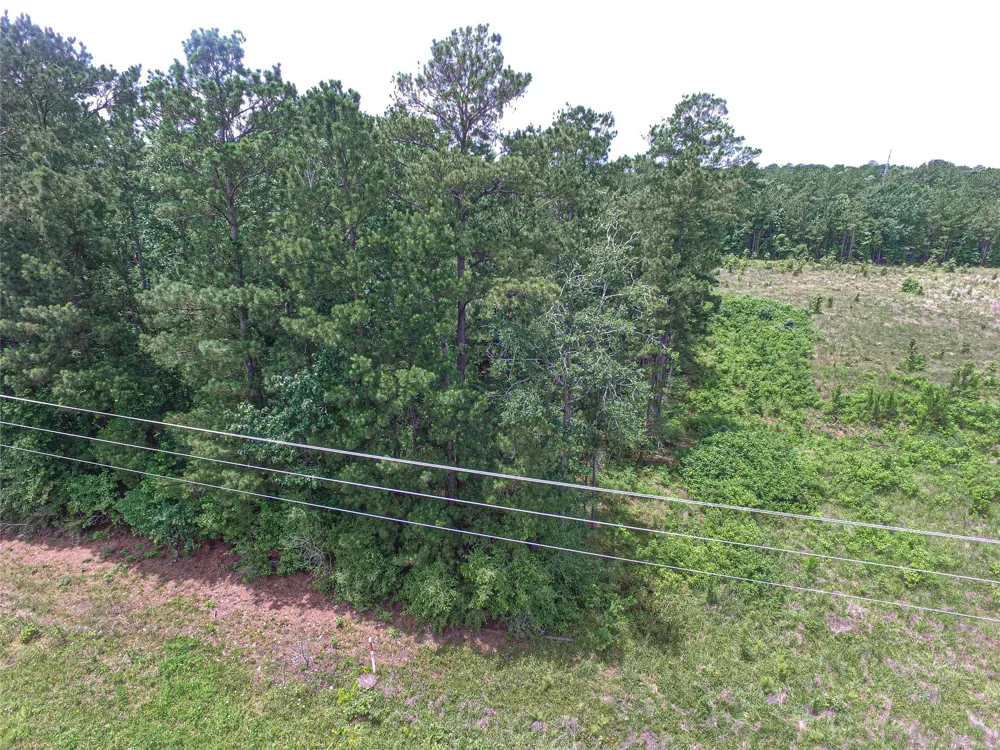 190 W Us Hwy 190 Livingston, TX 77351