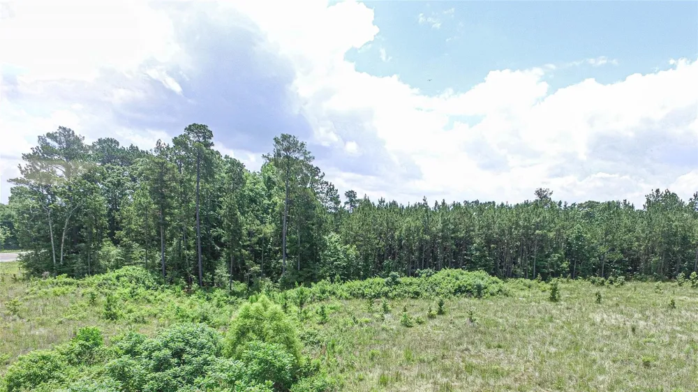 190 W Us Hwy 190 Livingston, TX 77351