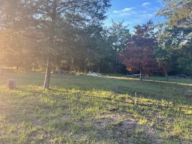 515 Berry Lane Somerville, TX 77879