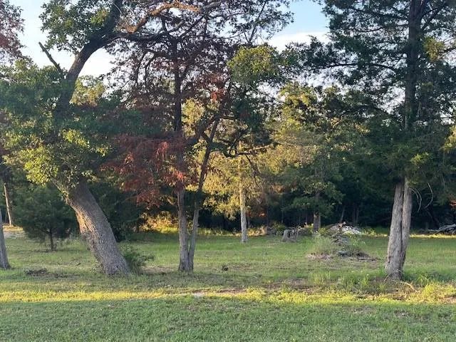 515 Berry Lane Somerville, TX 77879