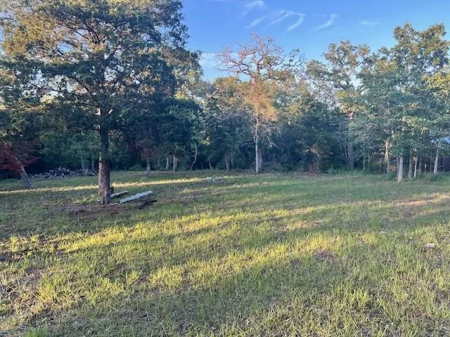 515 Berry Lane Somerville, TX 77879