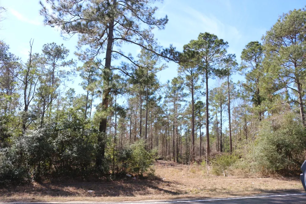 11 Hanson Road Onalaska, TX 77360