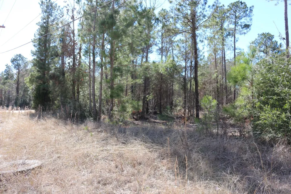 2 Hwy 356 Onalaska, TX 77360