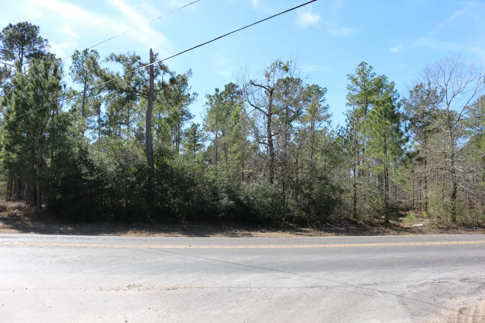 2 Hwy 356 Onalaska, TX 77360