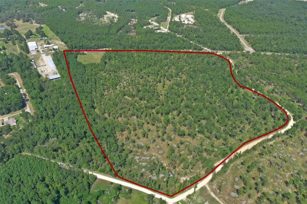 2 Hwy 356 Onalaska, TX 77360