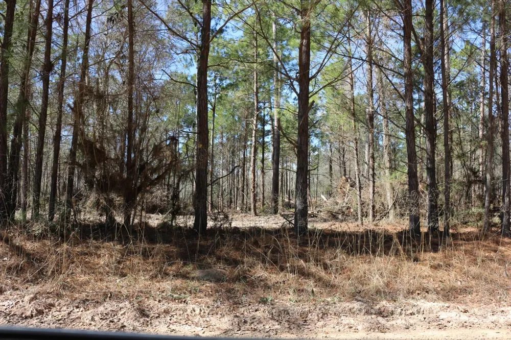 6 Hwy 356 Onalaska, TX 77360