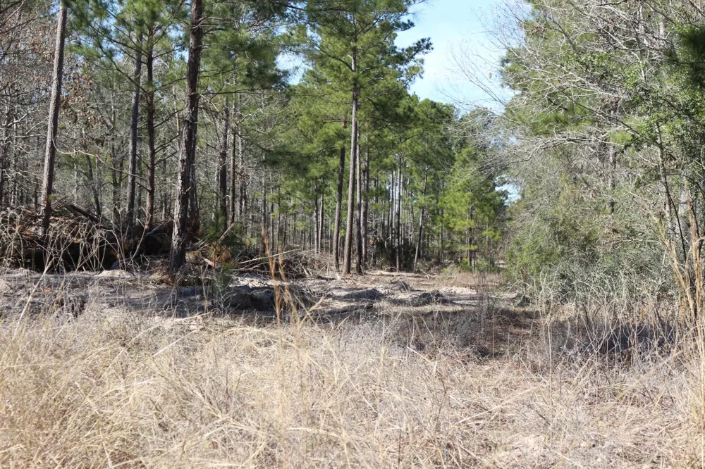 5 Hwy 356 Onalaska, TX 77360