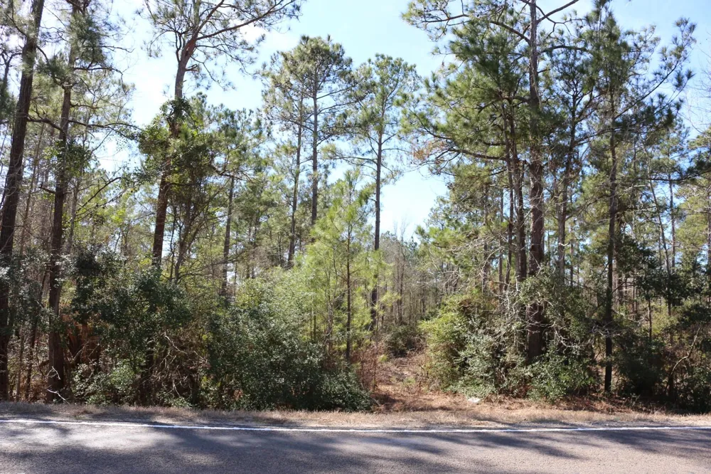 7 Hwy 356 Onalaska, TX 77360