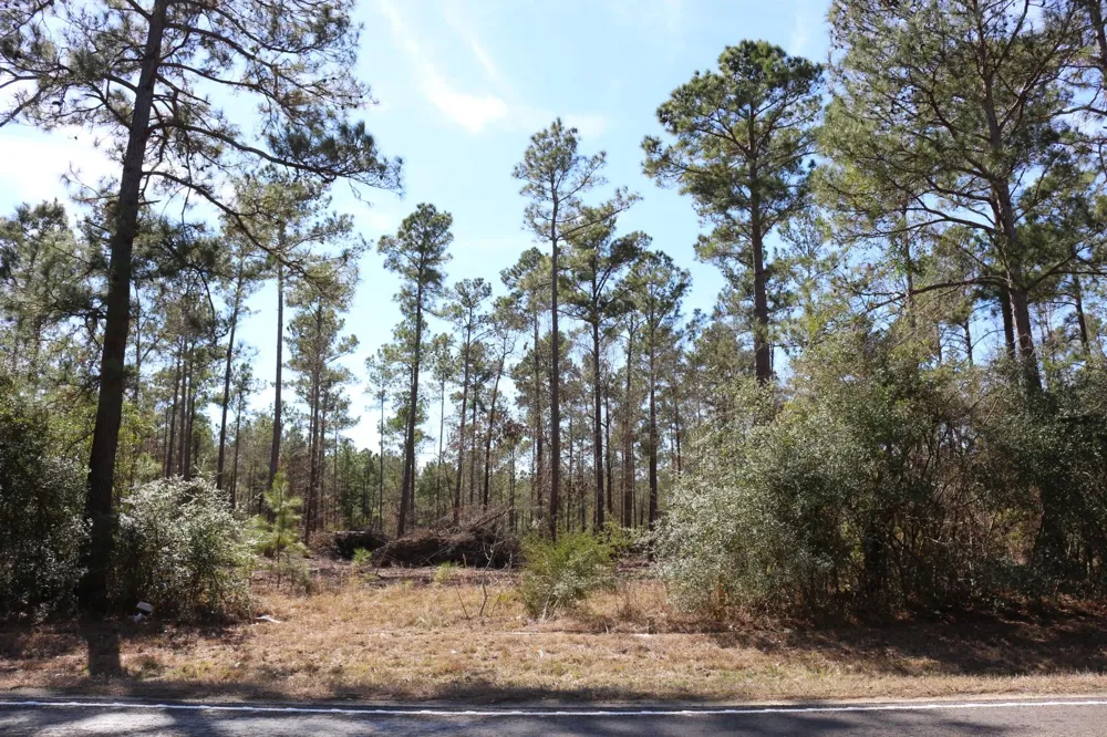 7 Hwy 356 Onalaska, TX 77360