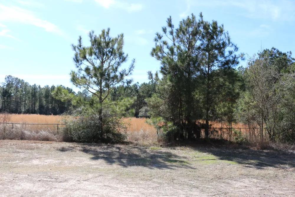7 Hwy 356 Onalaska, TX 77360