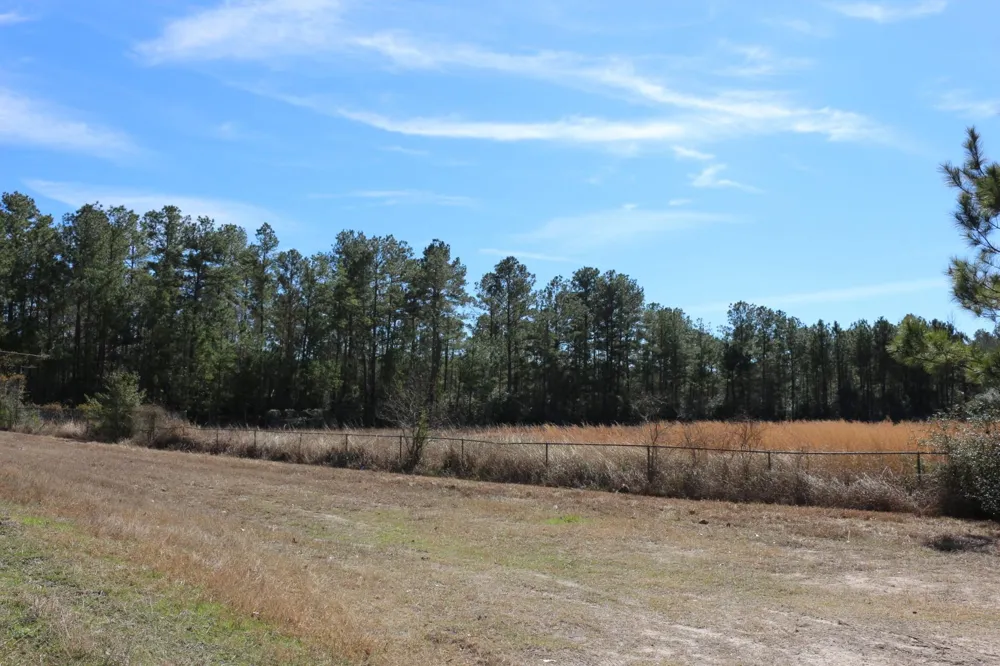 7 Hwy 356 Onalaska, TX 77360