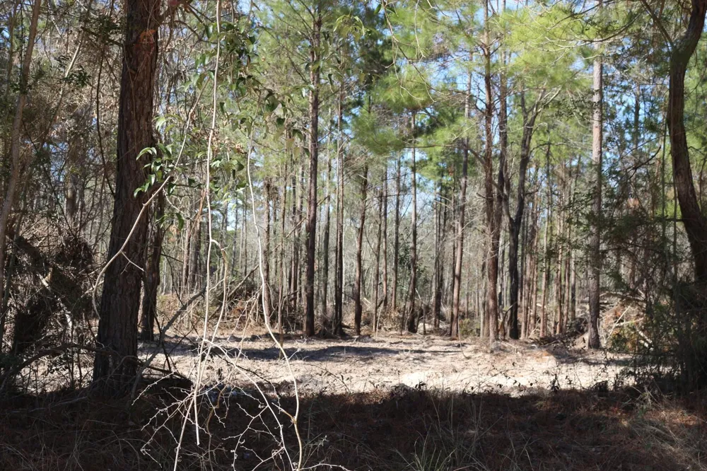 4 Hwy 356 Onalaska, TX 77360