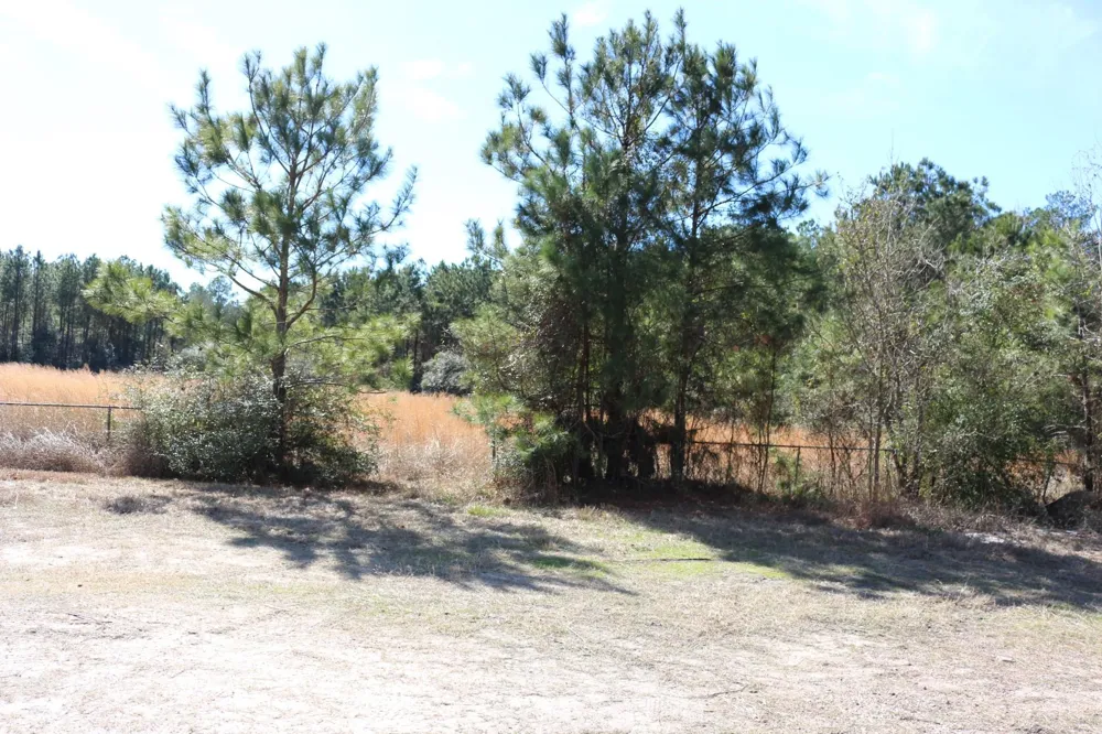 4 Hwy 356 Onalaska, TX 77360