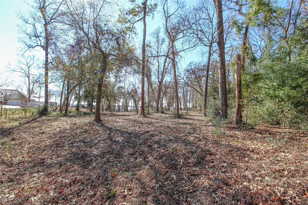 Fm 356 North Trinity, TX 75862
