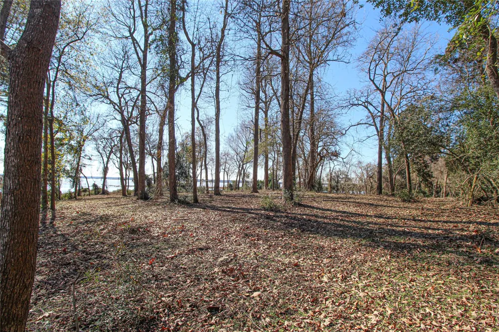 Fm 356 North Trinity, TX 75862