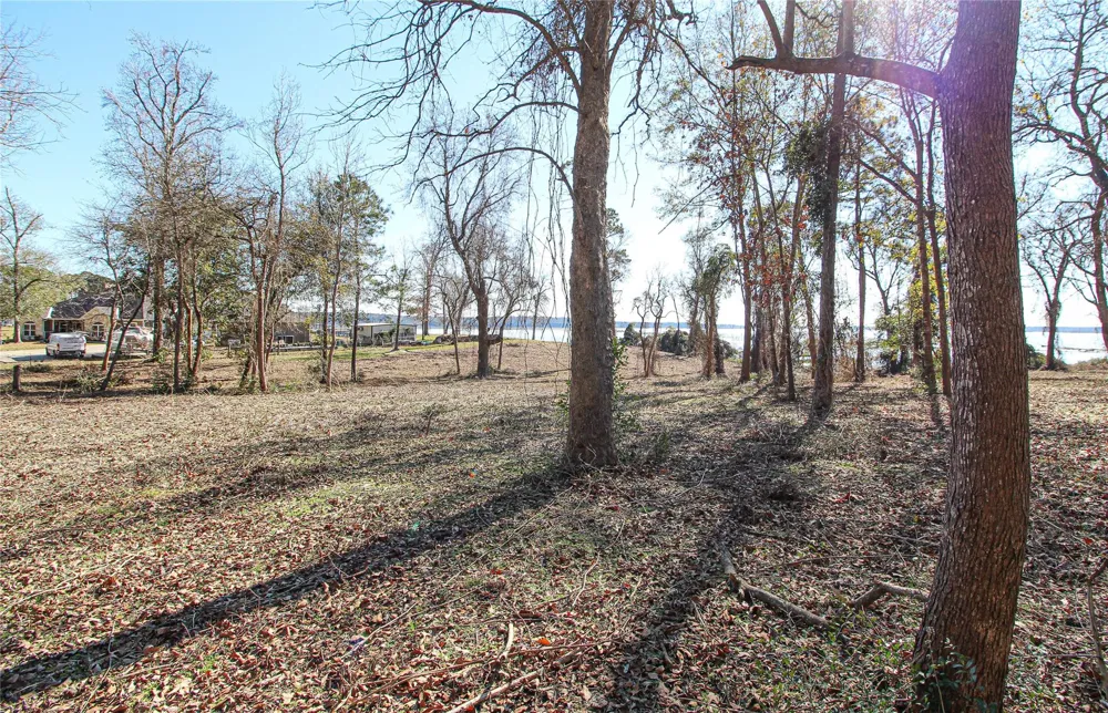 Fm 356 North Trinity, TX 75862