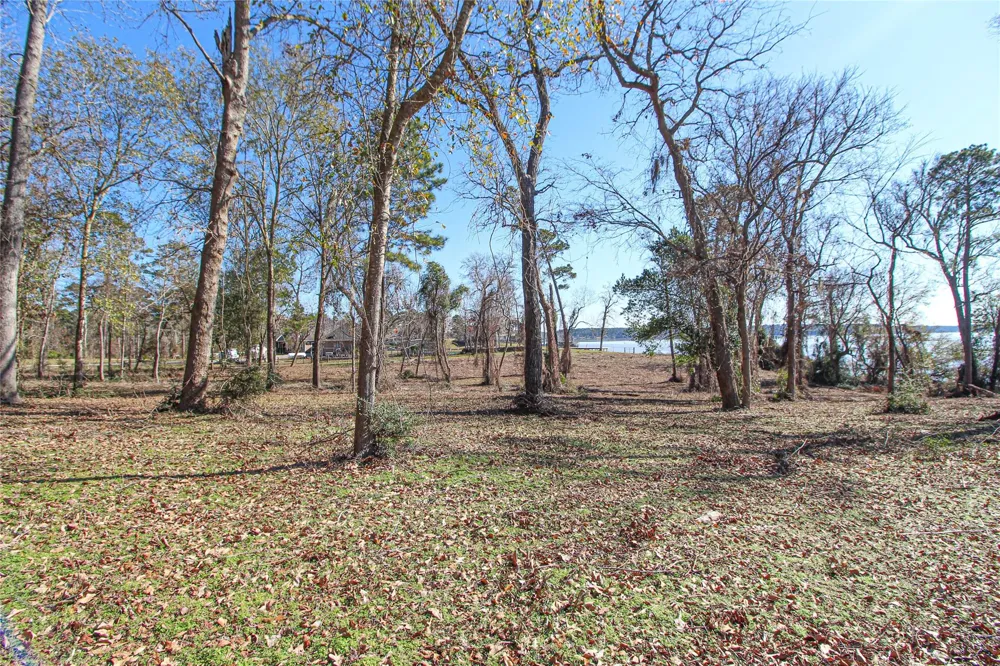 Fm 356 North Trinity, TX 75862
