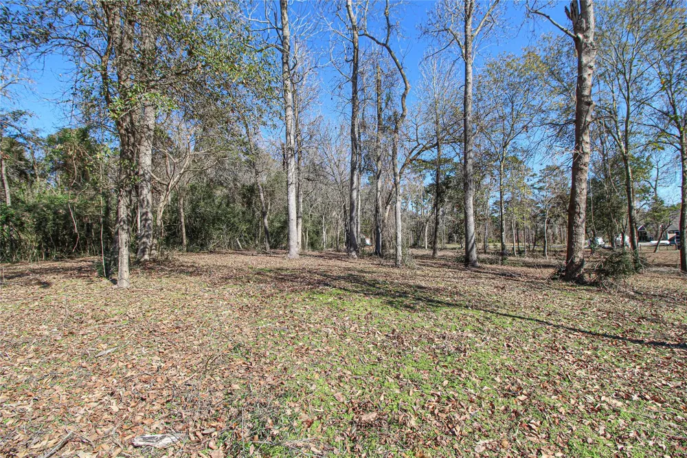 Fm 356 North Trinity, TX 75862