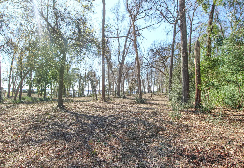 Fm 356 North Trinity, TX 75862