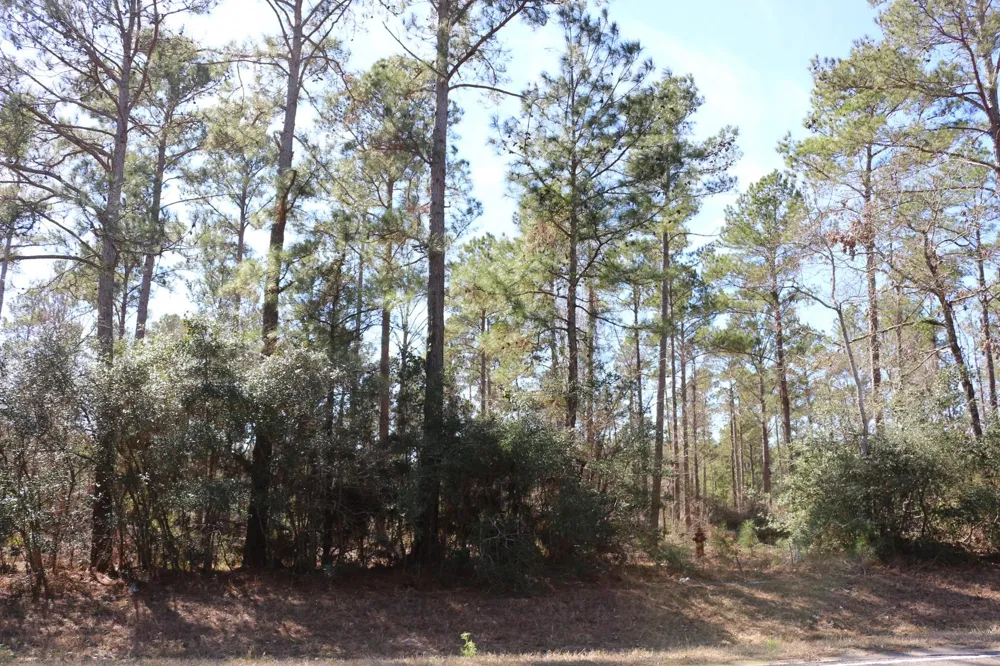 8 Hwy 356 Onalaska, TX 77360