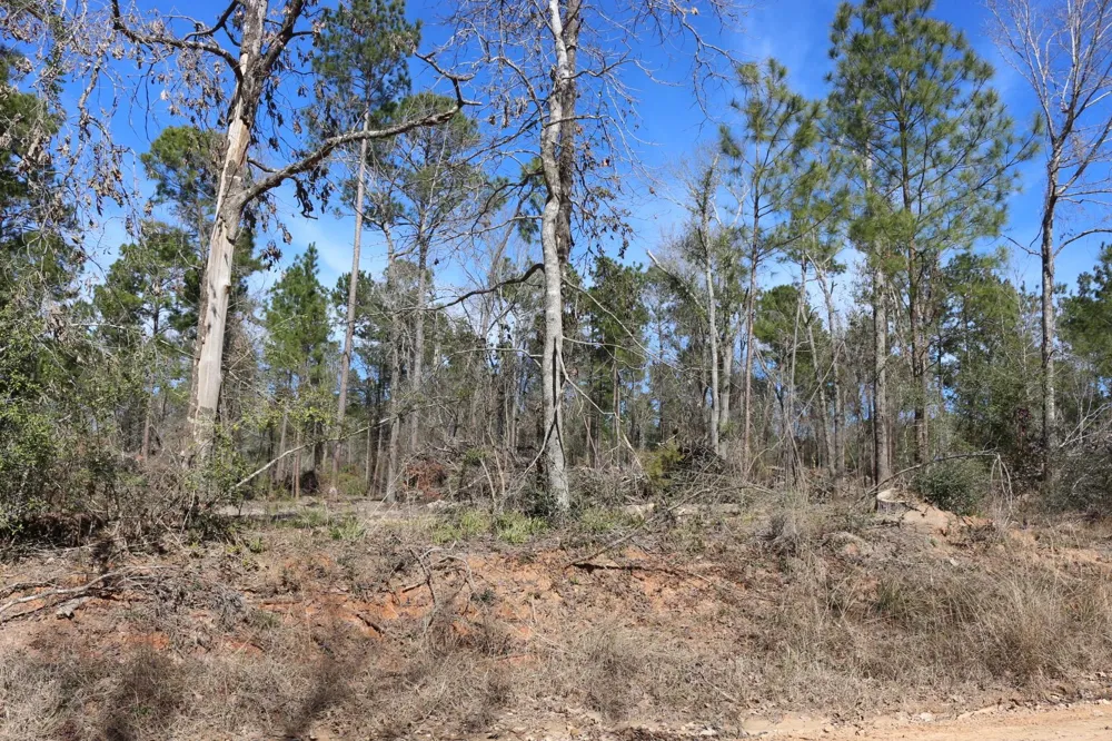 4 Hwy 356 Onalaska, TX 77360